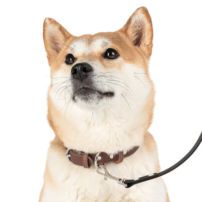 "I’m Very Fond of Walking" Pride & Prejudice Waterproof Dog Leash Blue Bow – Literary Inspired Dog Accessories for Austen Fans